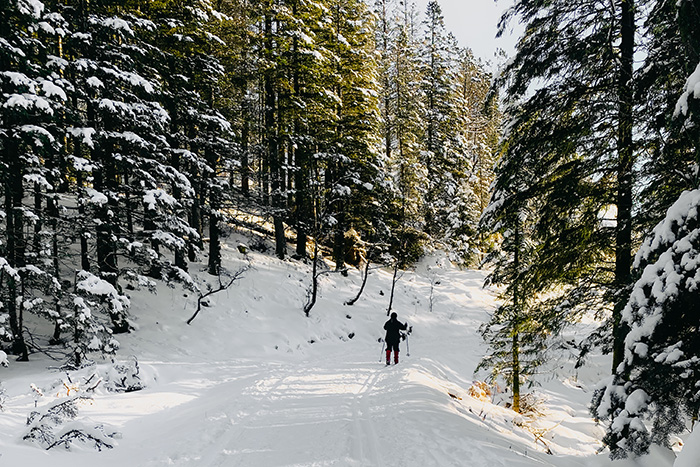 skispor i snø i skogen med en person