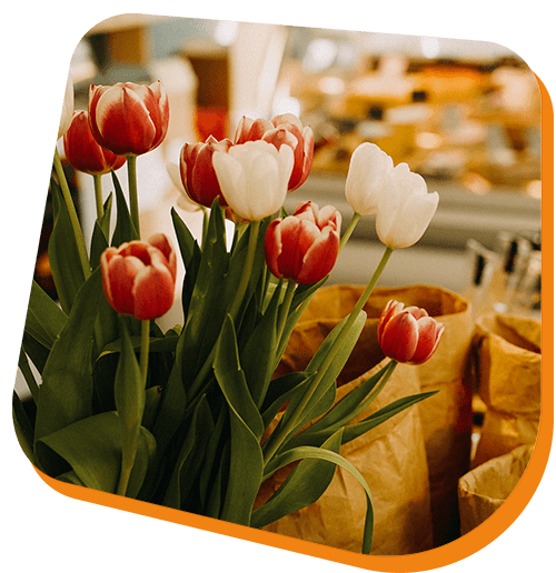blomser 2.png