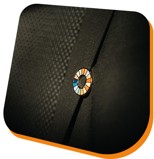 pin baerekraft.png