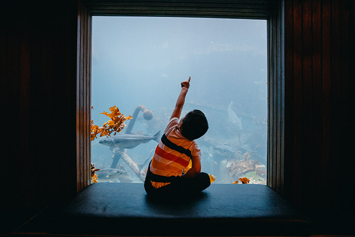 gutt i akvariet