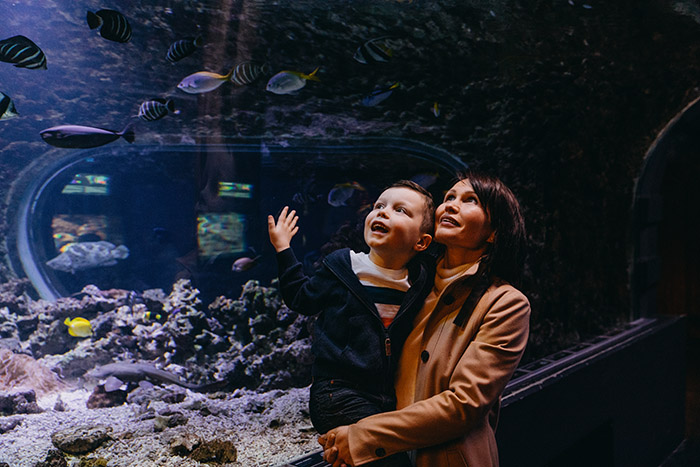 familie i akvariet