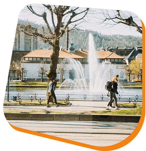 lille lungegardsvann.png
